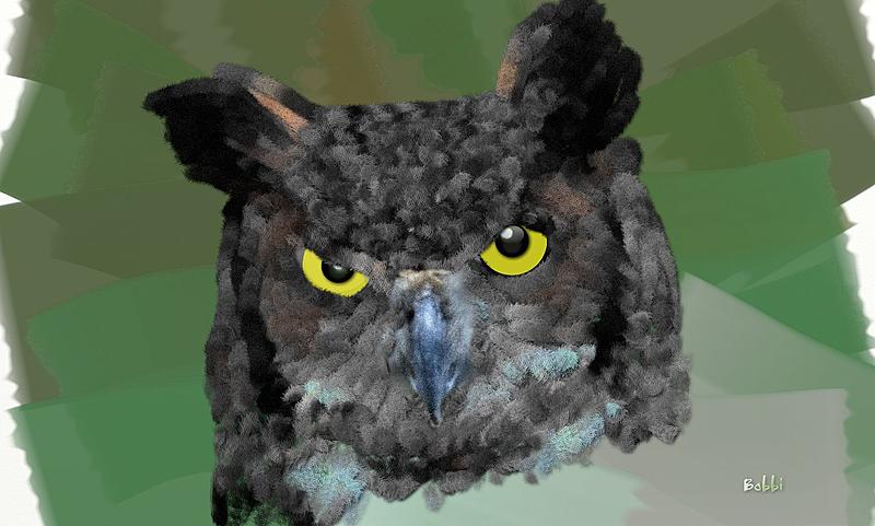 Click image for larger version. 

Name:	brooding owl eyes.jpg 
Views:	239 
Size:	271.6 KB 
ID:	90973