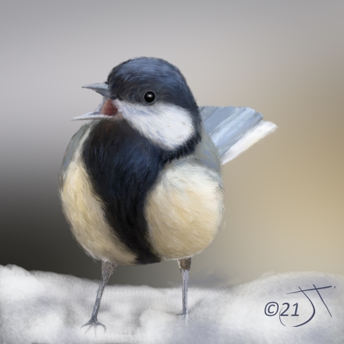 Name:  Bird in snowAR.jpg
Views: 144
Size:  106.4 KB