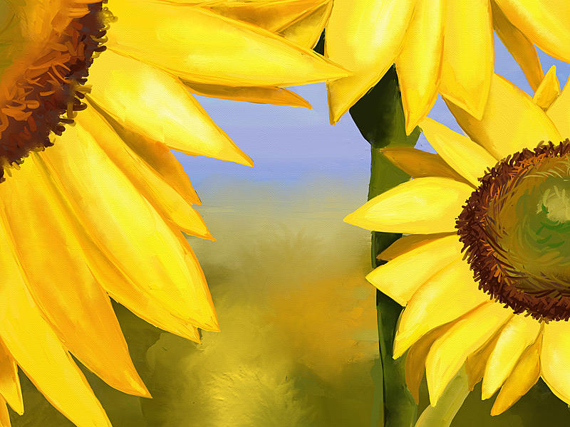 Click image for larger version. 

Name:	sunflowers-close1.jpg 
Views:	151 
Size:	272.1 KB 
ID:	97652