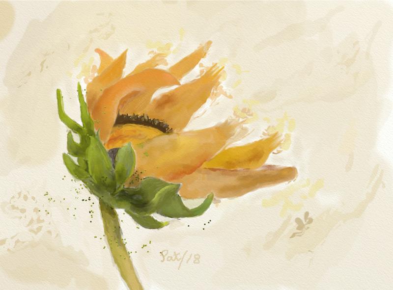 Click image for larger version. 

Name:	Watercolor Sunflower.jpg 
Views:	165 
Size:	133.2 KB 
ID:	95343