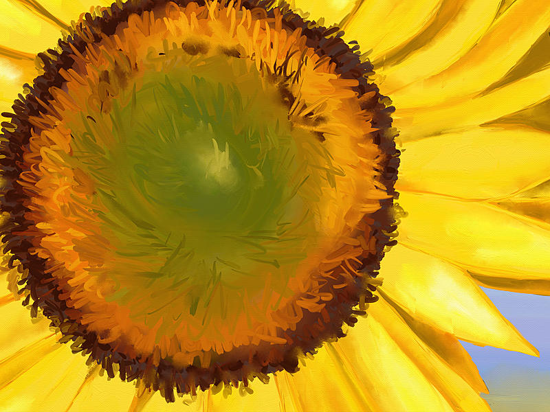 Click image for larger version. 

Name:	sunflowers-close2.jpg 
Views:	138 
Size:	285.2 KB 
ID:	97653