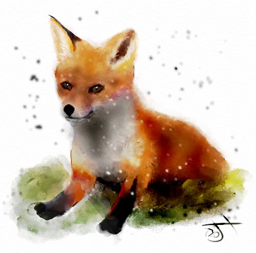 Name:  Fox cub.jpg
Views: 9305
Size:  35.4 KB