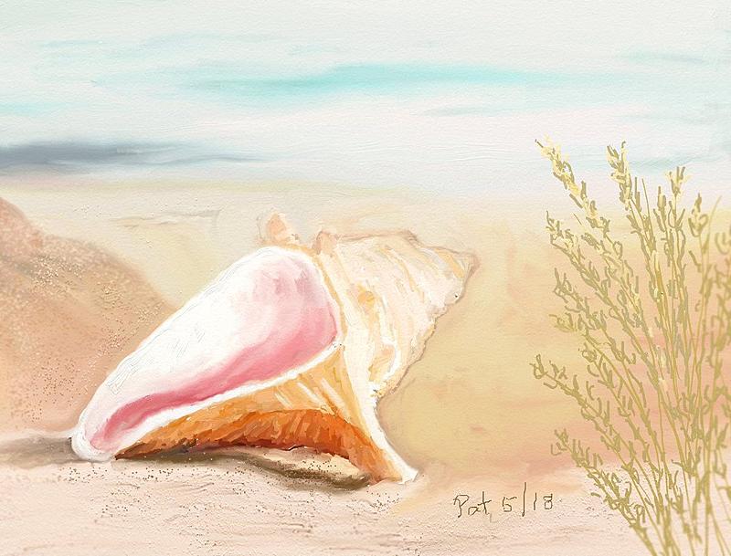 Click image for larger version. 

Name:	Sea Shell.jpg 
Views:	164 
Size:	165.7 KB 
ID:	95246